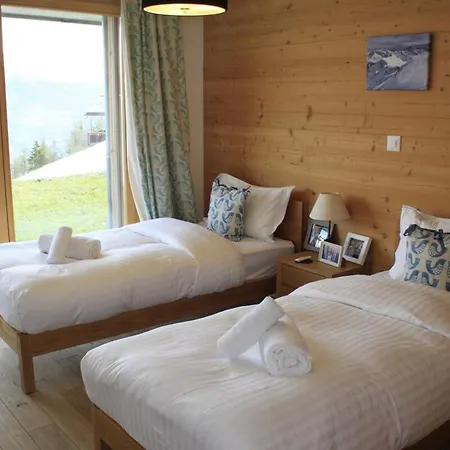 Wildhorn, A 2 Pas De La Piste De *