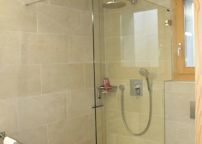 Wildhorn, A 2 Pas De La Piste De Chalet *