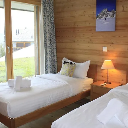 Wildhorn, A 2 Pas De La Piste De